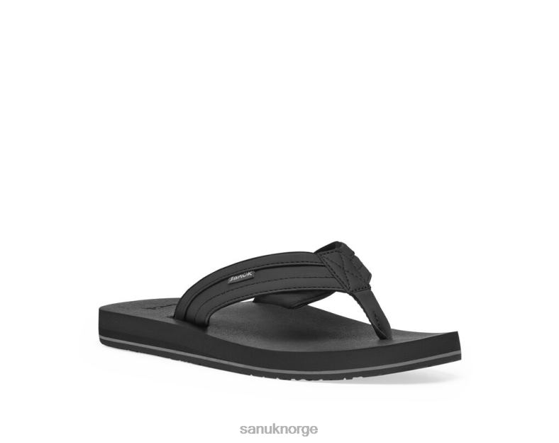 ziggy Sanuk P2BLD199 svart